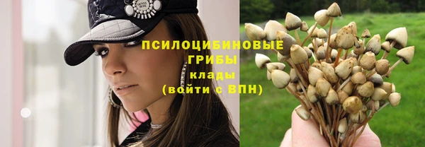 бутират Козельск