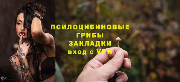 хмурый Козловка