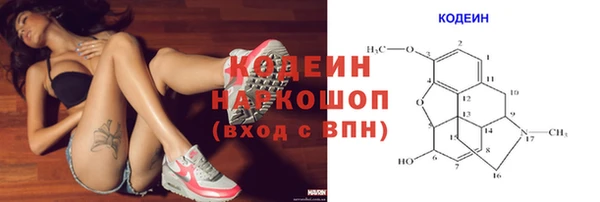 хмурый Козловка