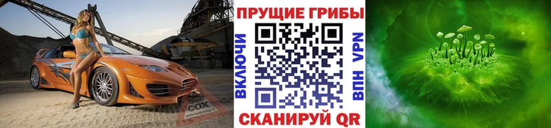 Псилоцибиновые грибы мухоморы  гидра tor  Малгобек 