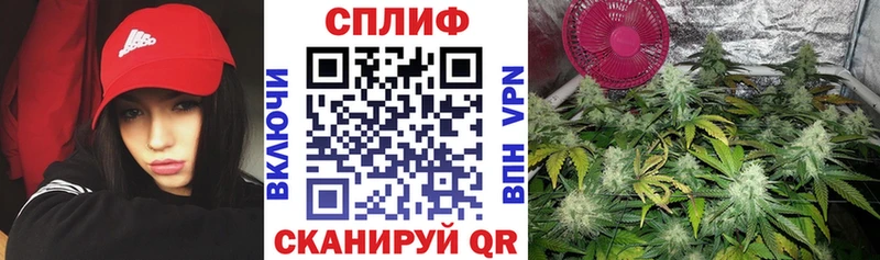 где можно купить наркотик  Малгобек  Шишки марихуана AK-47 